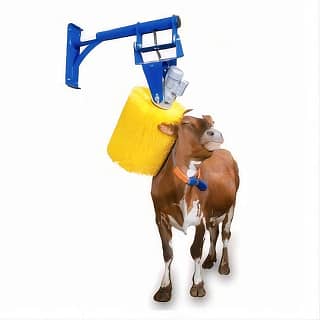 Automatic cow brush