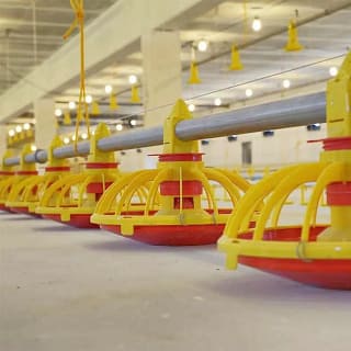 broiler pan feeding line