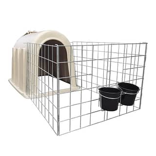 calf igloos