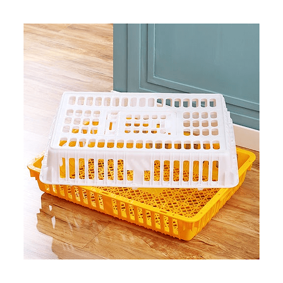 Plastic Poultry Turnover Box: Optimal Solution for Safe and Efficient Poultry Handling