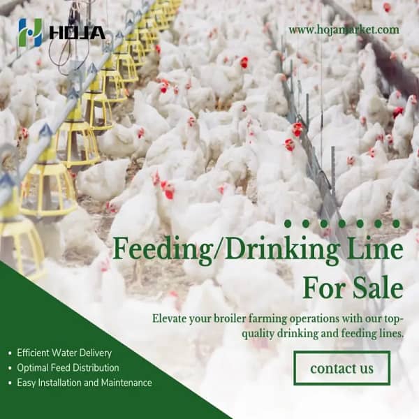 Broiler feeding system