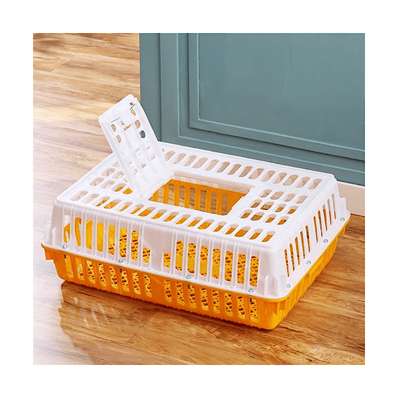 Plastic Poultry Turnover Box: Optimal Solution for Safe and Efficient Poultry Handling