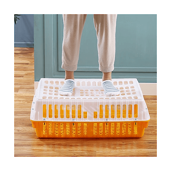 Plastic Poultry Turnover Box: Optimal Solution for Safe and Efficient Poultry Handling