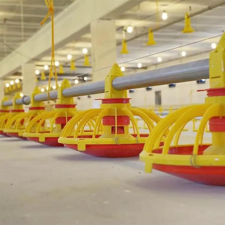 broiler pan feeding line