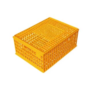 Poultry Transport Crates: Secure, Comfortable, and Efficient Solution for Poultry Transportation