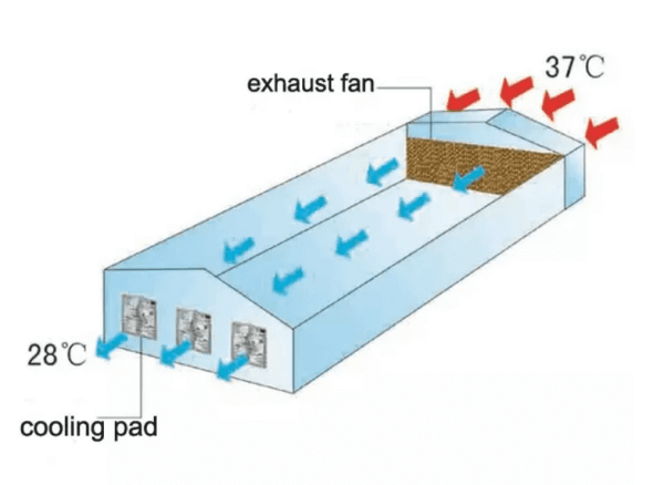 coollingpads1